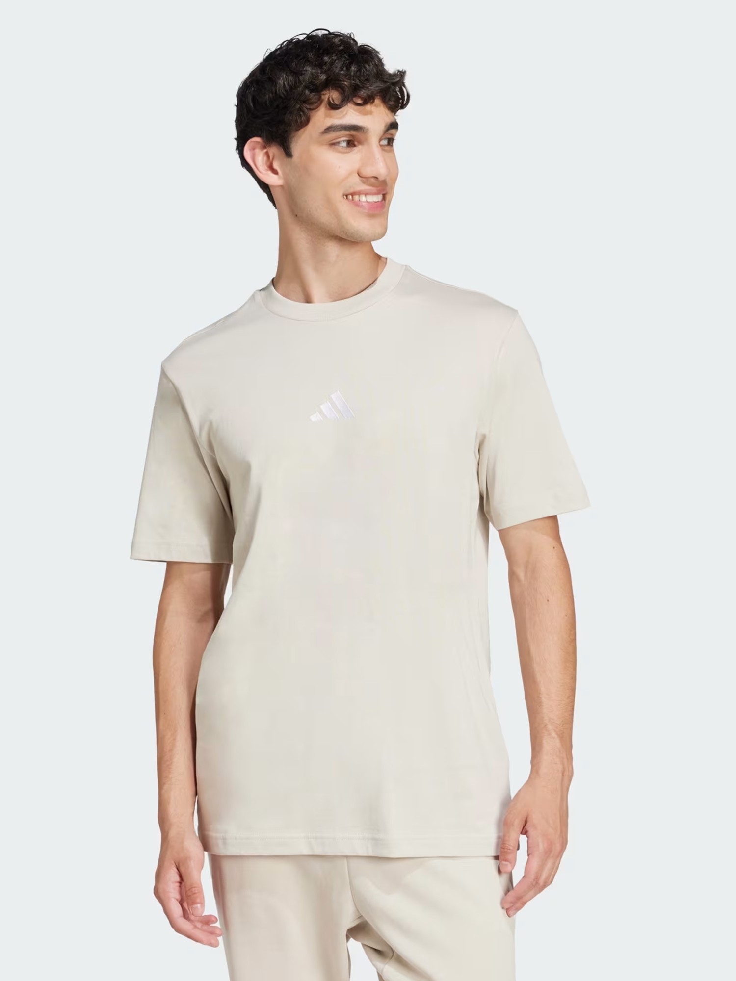 Футболка чоловіча Adidas M SL SJ T сіра JD1779 изображение 2